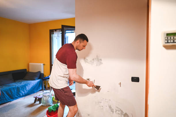 Best Residential Mold Remediation in Floral Park, NY